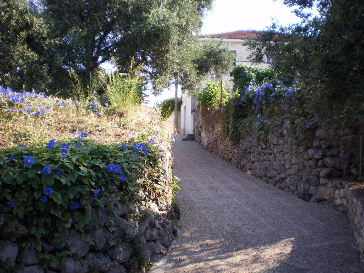 Kástron Polytropon Studio Ground Floor מראה חיצוני תמונה